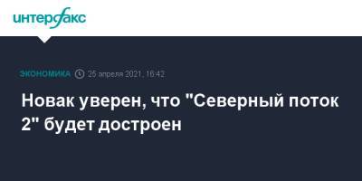 Александр Новак - Павел Зарубин - Новак уверен, что "Северный поток 2" будет достроен - interfax.ru - Москва
