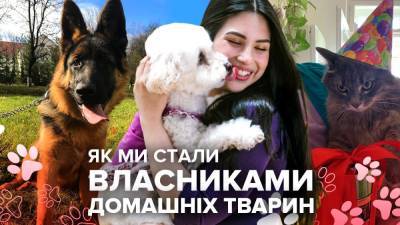 Как мы стали владельцами домашних животных: особенные истории - 24tv.ua