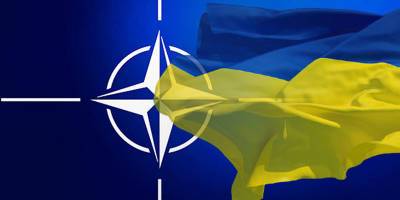 Тарас Березовец - Франция и Германия будут мешать членству Украины в НАТО, но рано или поздно она войдет в Альянс - ТЕЛЕГРАФ - telegraf.com.ua - Россия - США - Украина - Брюссель