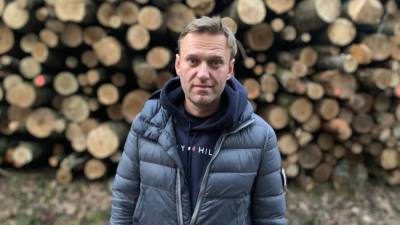 Алексей Навальный - Леонид Волков - Сторонники Навального упрекнули Волкова в сокрытии информации о допуске врачей к блогеру - newinform.com