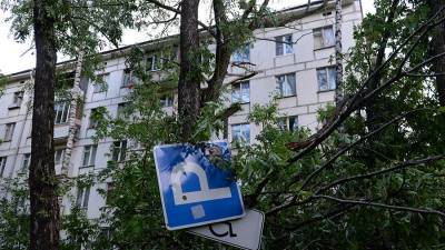 Евгений Тишковец - Москвичей призвали не прятаться от ветра под деревьями - iz.ru - Москва - Израиль