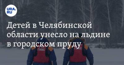 Детей в Челябинской области унесло на льдине в городском пруду. Видео - ura.news - Челябинская обл. - Царьград