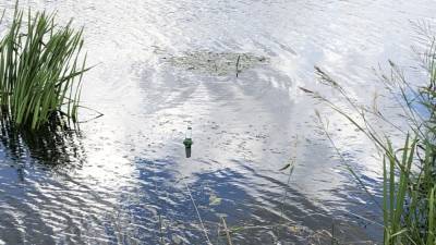Двухлетний малыш прыгнул в ледяную реку за пьяной матерью в Белгороде - nation-news.ru - Белгород