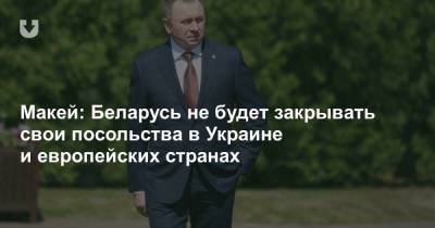 Александр Лукашенко - Владимир Макей - Макей: Беларусь не будет закрывать свои посольства в Украине и европейских странах - news.tut.by