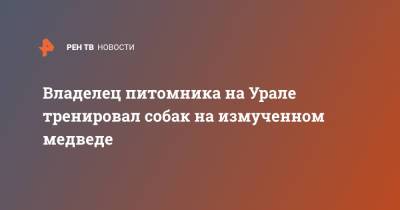Владелец питомника на Урале тренировал собак на измученном медведе - ren.tv - Челябинская обл.