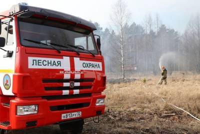 Больше 200 человек направили на тушение лесных пожаров в Забайкалье - mk.ru - Забайкальский край
