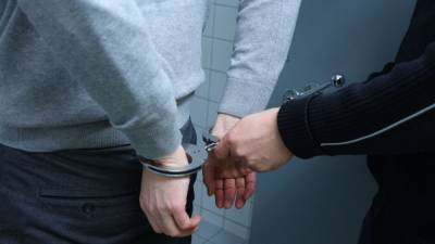 Полиция задержала пятого человека по делу об убийстве сотрудницы комиссариата во Франции - nation-news.ru