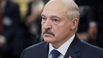 Александр Лукашенко - Лукашенко подготовил документ о передаче власти Совбезу - newsland.com