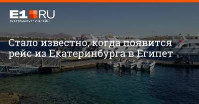 Стало известно, когда появится рейс из Екатеринбурга в Египет - e1.ru - Египет - Екатеринбург - Турция - Каир