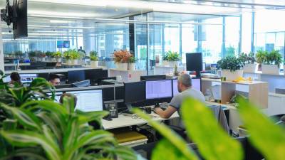 Майские выходные: как будет работать бизнес - vesti.ru