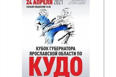 В Ярославской области прошли всероссийские соревнования по кудо - yar.mk.ru - Ярославская обл.