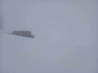 Карпаты засыпает снегом, до 5 градусов мороза - news.bigmir.net