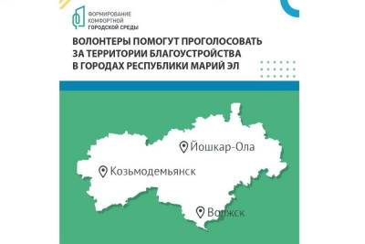 В Йошкар-Оле волонтеры помогают в голосовании за благоустройство - mk.ru - респ. Марий Эл