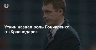 Василий Уткин - Ивица Олич - Уткин назвал роль Гончаренко в «Краснодаре» - news.tut.by - Краснодар - Хорватия