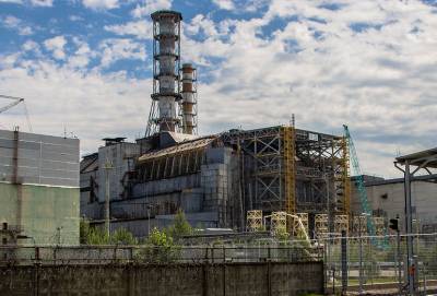Владимир Яценко - Животные-мутанты: Физик развенчал главный миф о последствиях аварии на Чернобыльской АЭС - actualnews.org