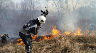 В Украине за неделю на пожарах погибли около 30 человек - ru.slovoidilo.ua - Гсчс