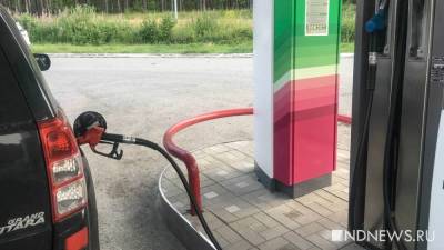 Александр Новак - Российские власти хотят ограничить вывоз бензина из страны - newdaynews.ru