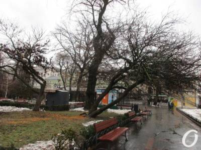 В одесском Горсаду турист с пилой напал на прохожего (видео) - odessa-life.od.ua - Украина - Одесса