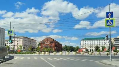 Закупленные для вазонов на площади Ленина клены Гиннала погибли - penzainform.ru - Пенза