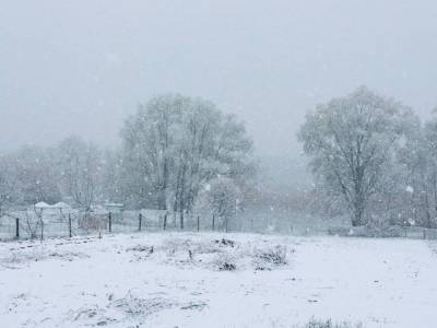 В конце апреля Украину засыпает снегом: фото, видео - 24tv.ua - Полтавская обл.