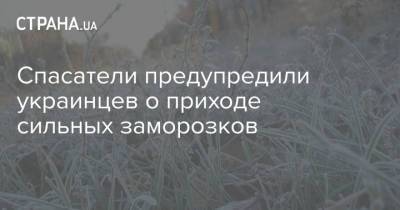 Спасатели предупредили украинцев о приходе сильных заморозков - strana.ua - Киев - Полтава