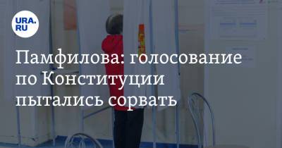 Владимир Путин - Элла Памфилова - Памфилова: голосование по Конституции пытались сорвать - ura.news