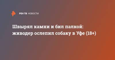 Швырял камни и бил палкой: живодер ослепил собаку в Уфе (18+) - ren.tv - Уфа