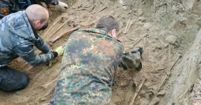 В Зеленоградском районе нашли братскую могилу 16 солдат - klops.ru - район Зеленоградский
