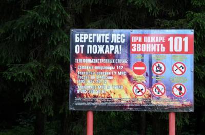 В МЧС предупредили о вспышке пожаров из-за пикников на майских праздниках - vm.ru - Москва - Ленинградская обл. - Башкирия - Санкт-Петербург - Московская обл. - респ. Татарстан - Смоленская обл. - респ. Коми - Нижегородская обл. - Воронежская обл. - Кировская обл. - Вологодская обл. - Архангельская обл. - Новгородская обл. - Тульская обл. - Брянская обл. - республика Карелия - республика Мордовия