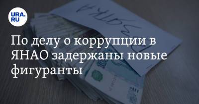 По делу о коррупции в ЯНАО задержаны новые фигуранты - ura.news - Московская обл. - окр. Янао