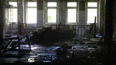 Ученые опровергли гипотезу о мутациях у детей выживших после аварии на ЧАЭС - newinform.com