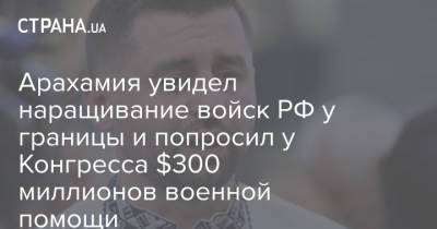 Давид Арахамия - Арахамия увидел наращивание войск РФ у границы и попросил у Конгресса $300 миллионов военной помощи - strana.ua