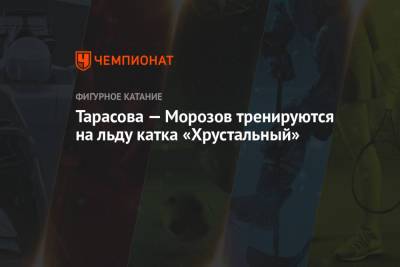 Владимир Морозов - Этери Тутберидзе - Евгений Тарасов - Максим Траньков - Тарасова — Морозов тренируются на льду катка «Хрустальный» - championat.com - Стокгольм