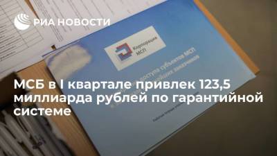 МСБ в I квартале привлек 123,5 миллиарда рублей по гарантийной системе - smartmoney.one - Москва - Ленинградская обл. - Санкт-Петербург - Московская обл. - респ. Татарстан