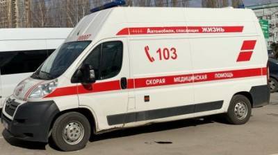 В Пензе «Нива» с 70-летним водителем сбила девочку - penzainform.ru - Пенза
