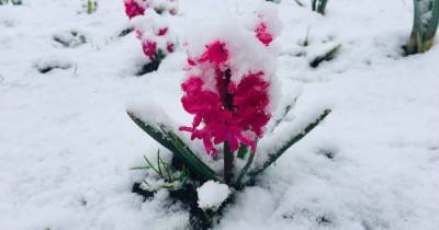 Снег в конце апреля: когда к украинцам придет весеннее тепло - tsn.ua - Черкасская обл. - Центральная