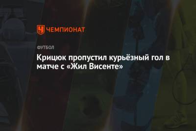 Станислав Крицюк - Крицюк пропустил курьёзный гол в матче с «Жил Висенте» - championat.com