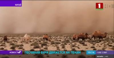 Песчаная буря несется на Пекин со скоростью 40 км/ч - grodnonews.by - Монголия
