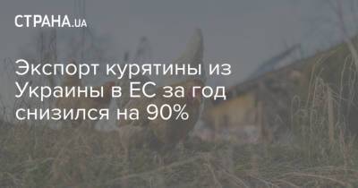 Экспорт курятины из Украины в ЕС за год снизился на 90% - strana.ua - Украина - Англия - Бразилия - Таиланд