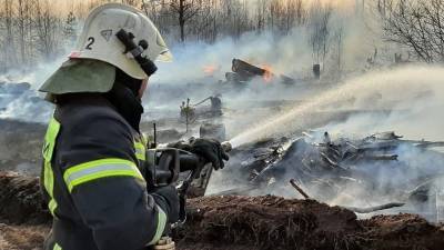 Под Екатеринбургом подросток вынес из полыхающего дома младших брата и сестру - 5-tv.ru - Россия - Екатеринбург - Свердловская обл.