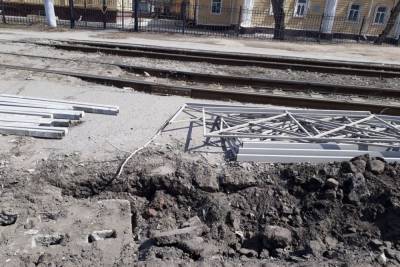 Мэрия Омска анонсировала высадку зелёной изгороди у дорог вместо стальных заборов - omsk.mk.ru - Омск