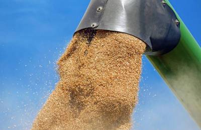Прогноз: Экспорт зерна в текущем сезоне сократится на четверть - agroportal.ua