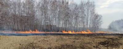 В Омской области из-за пожаров временно ограничили прогулки в лесах - runews24.ru - Омская обл.
