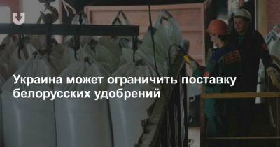 Дмитрий Фирташ - Украина может ограничить поставку белорусских удобрений - news.tut.by