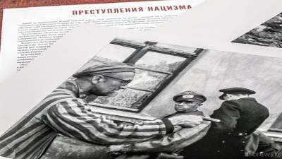 В Австрии выросли антисемитские настроения - newdaynews.ru - Австрия