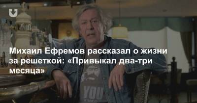 Михаил Ефремов - Михаил Ефремов рассказал о жизни за решеткой: «Привыкал два-три месяца» - news.tut.by