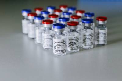 Создатели «Спутника V» считают политическим запрет ввоза вакцины в Бразилию - aif.ru - Бразилия