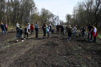 В Инжавинском районе посадили берёзовую аллею - tambov.mk.ru - Тамбовская обл.