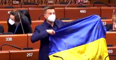 Владимир Путин - Ангела Меркель - Леонид Слуцкий - Алексей Гончаренко - Гончаренко лишили слова в ПАСЕ на три месяца из-за жалобы российского делегата - dsnews.ua