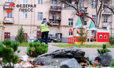 Максим Афанасьев - Кто из политиков «тюменской матрешки» вышел на субботники: грабли им к лицу - fedpress.ru - Тюмень - Тобольск